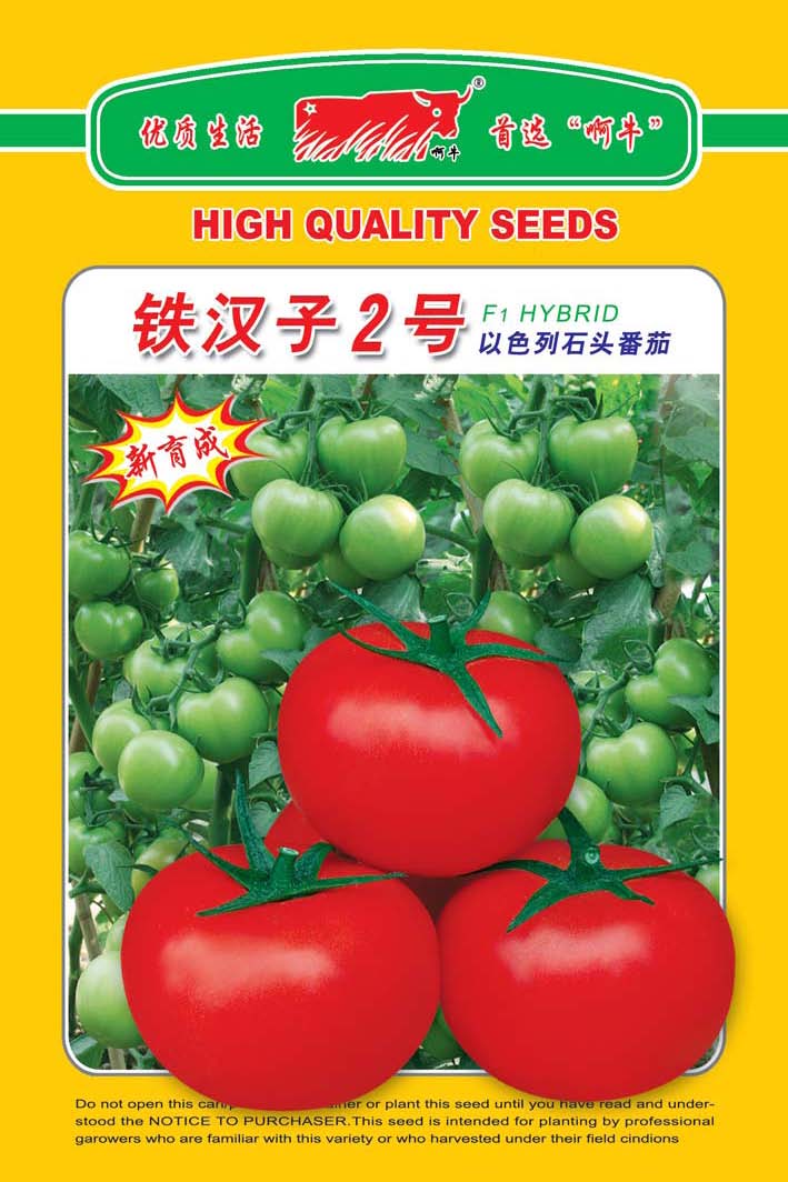 铁汉子2号（新育成）