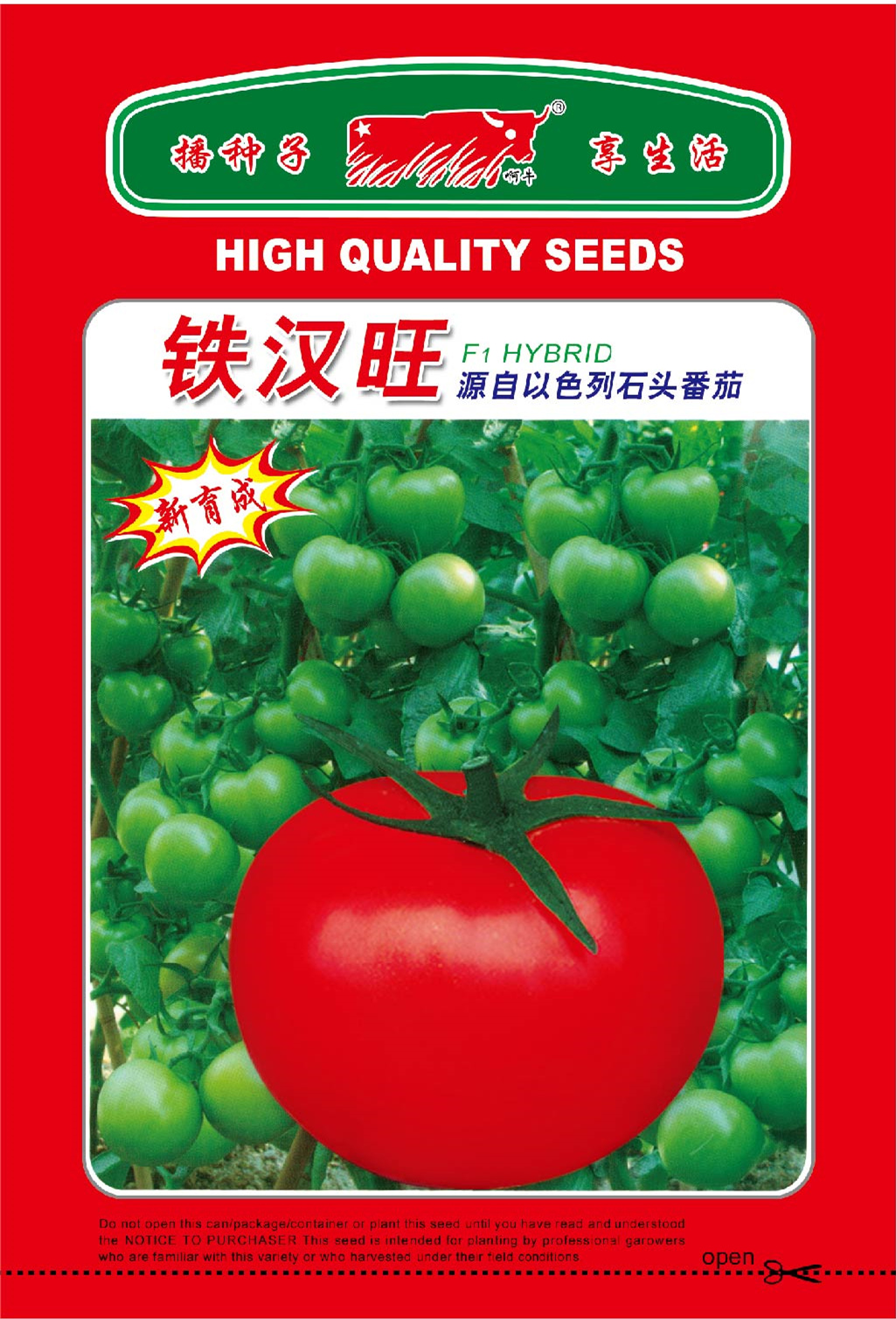 铁汉旺