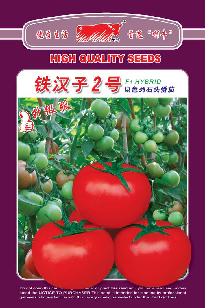 铁汉子2号（升级版）