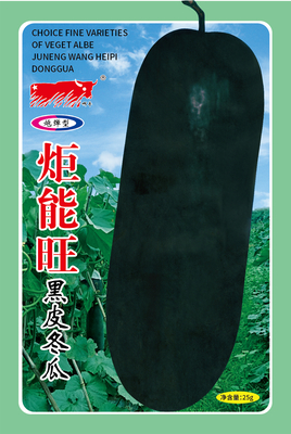 炬能旺