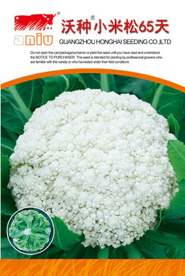 沃种小米松65天
