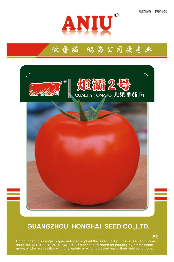 炬灞2号