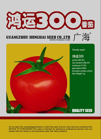 鸿运300