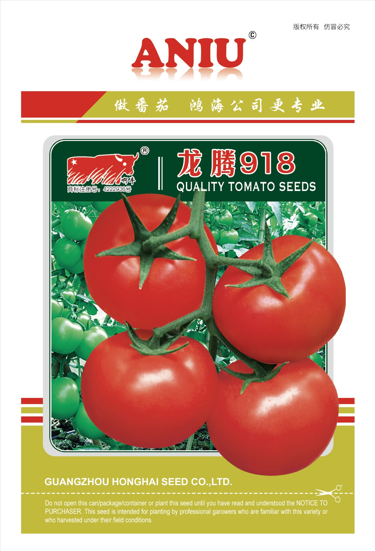 龙腾918
