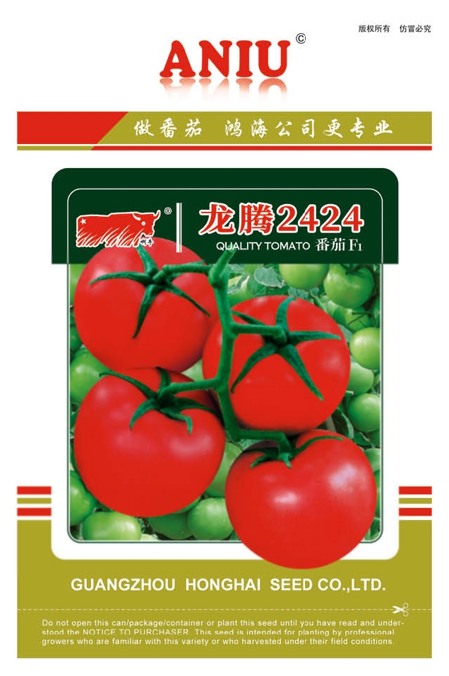 龙腾2424