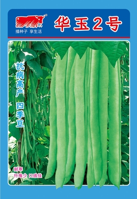 华玉2号（白籽）