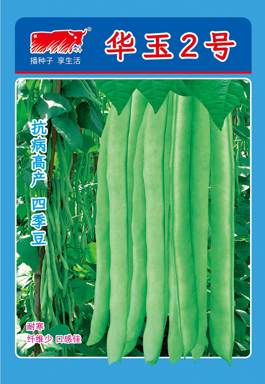 华玉2号（白籽）