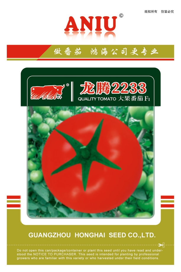 龙腾2233