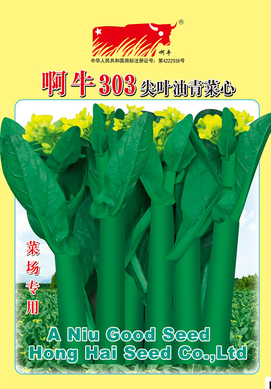 啊牛303尖叶油青菜心