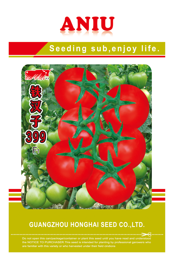 铁汉子399